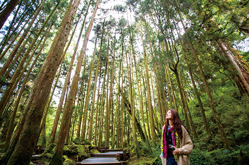 Alishan National Park