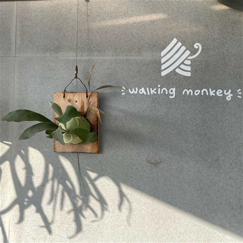 Walking Monkey Coffeehouse 