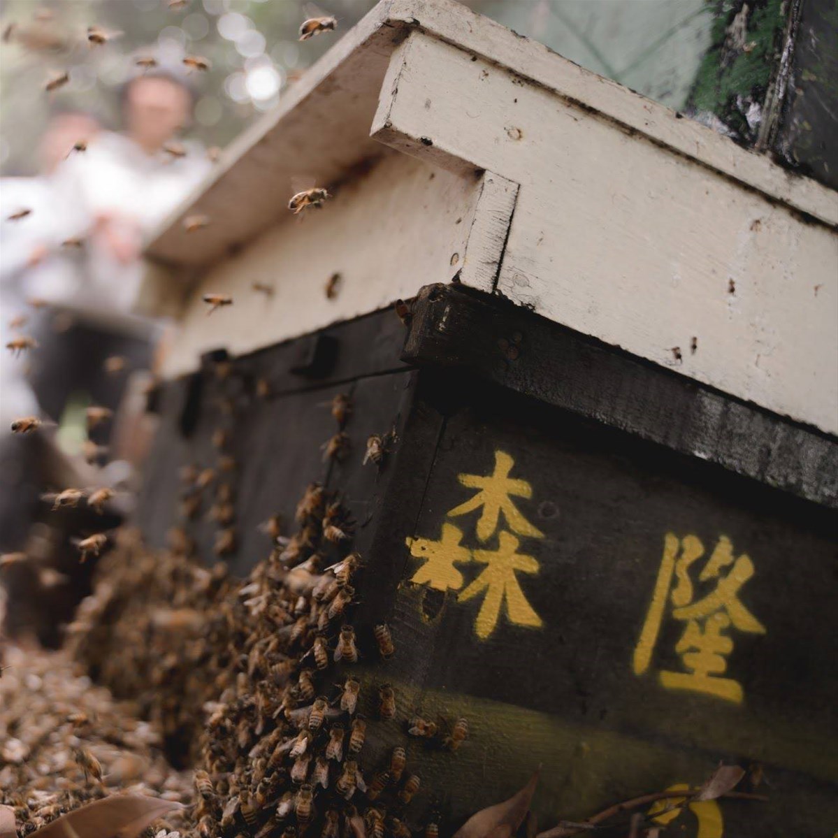 Sen Long Bee Farm