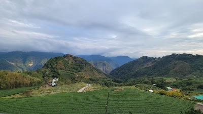 Drink Mountain Fragrance Tea House