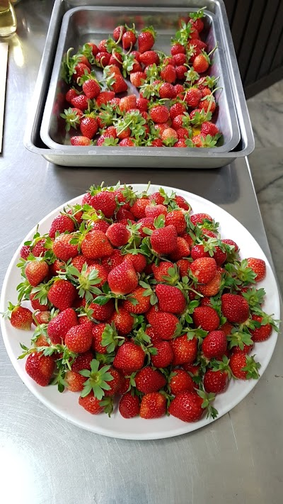 Dapi Township Aquaponics Farm