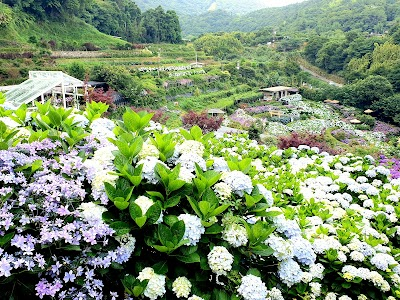 Grand Terraced Ecological Flower Farm