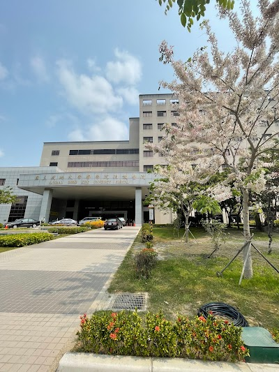 National Cheng Kung University Hospital, College of Medicine.