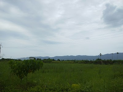 Shoufeng Agricultural Ecological Hall