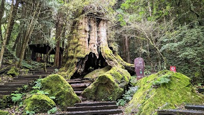 Shanlinxi Forest Ecological Resort