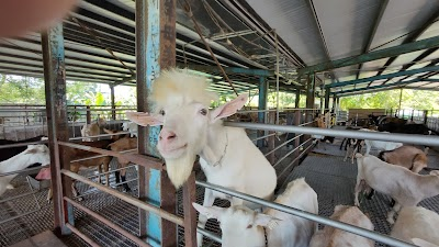 Yi Farm and Sheep Ranch