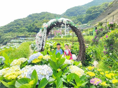 Cao Family Flower Field Fragrance