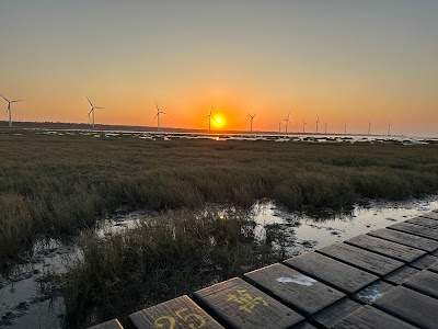 Gaomei Wetland